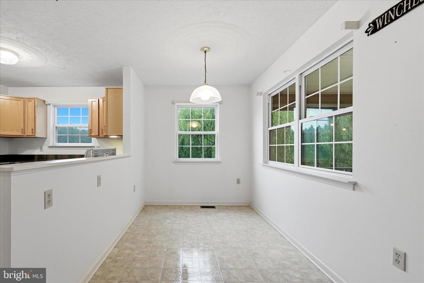 219 Bentley Avenue photo 25