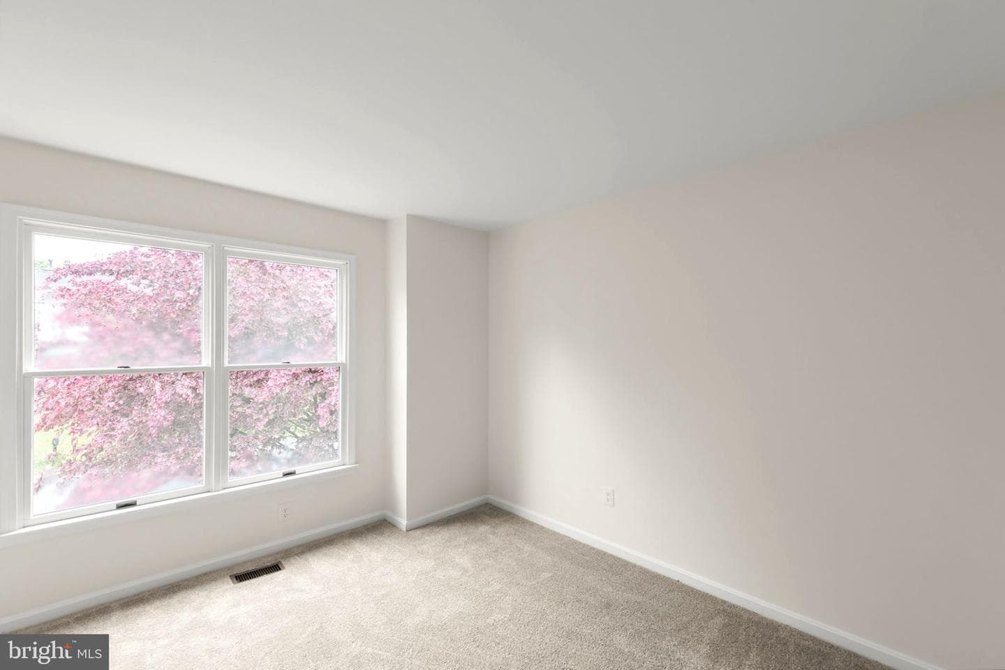 106 Etnam Street photo 16