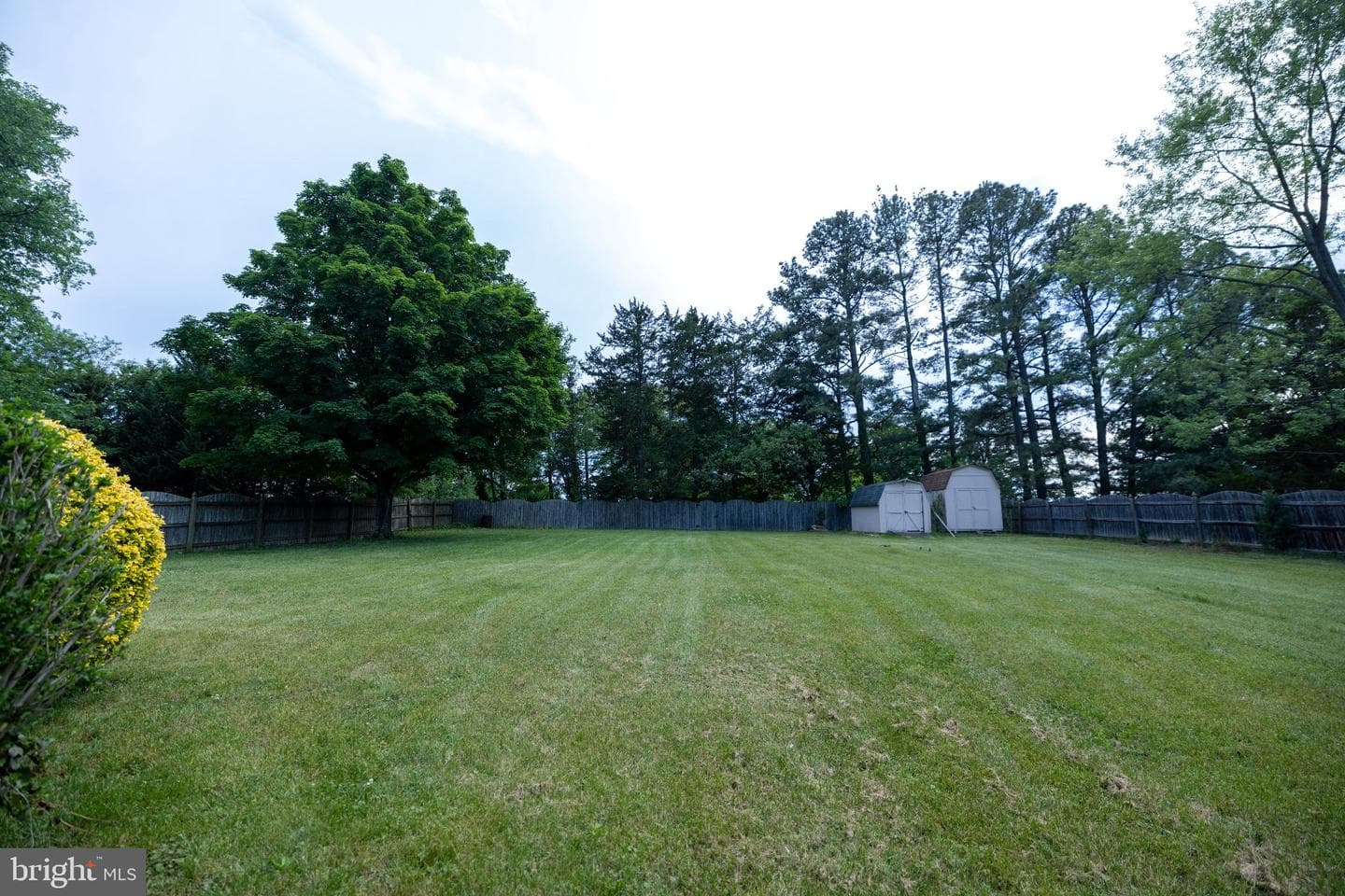 116 Princeton Drive photo 25
