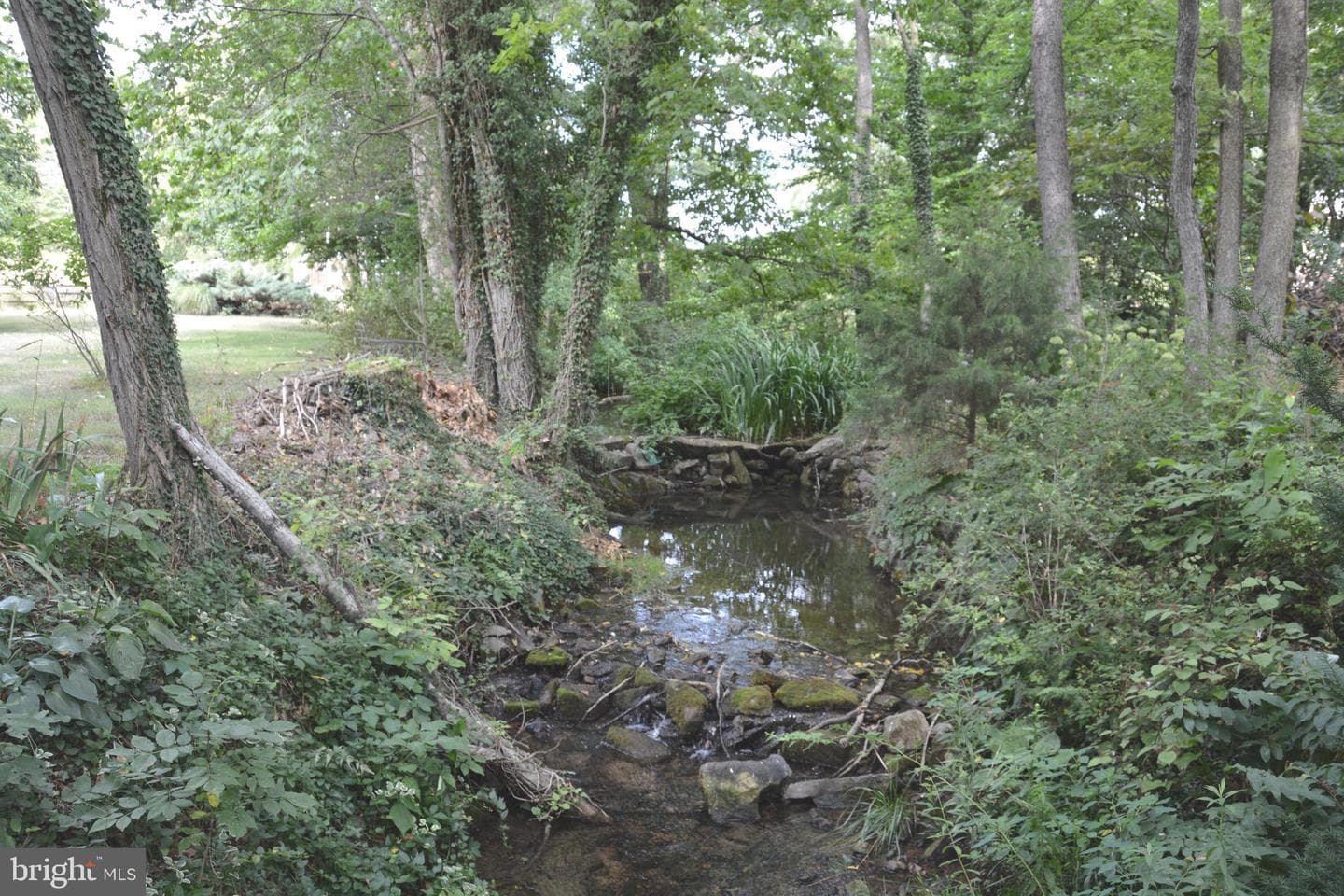 2431 Cedar Creek Grade photo 67