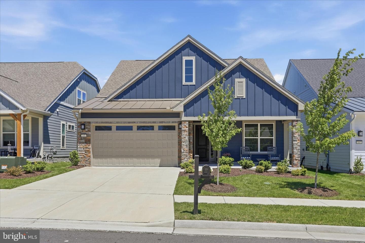 145 Cowbird, Lake Frederick