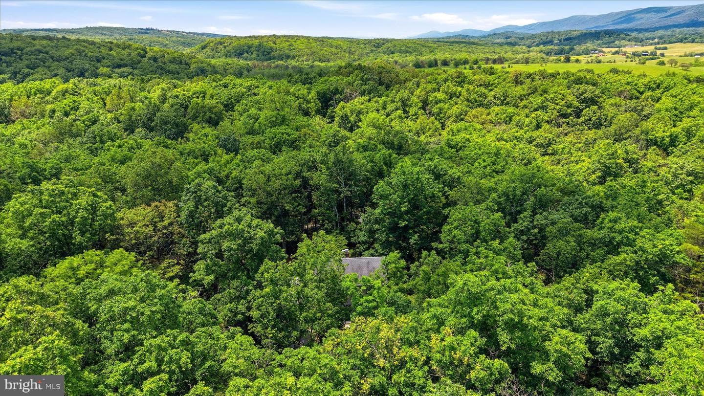 516 Deer Creek Road photo 58