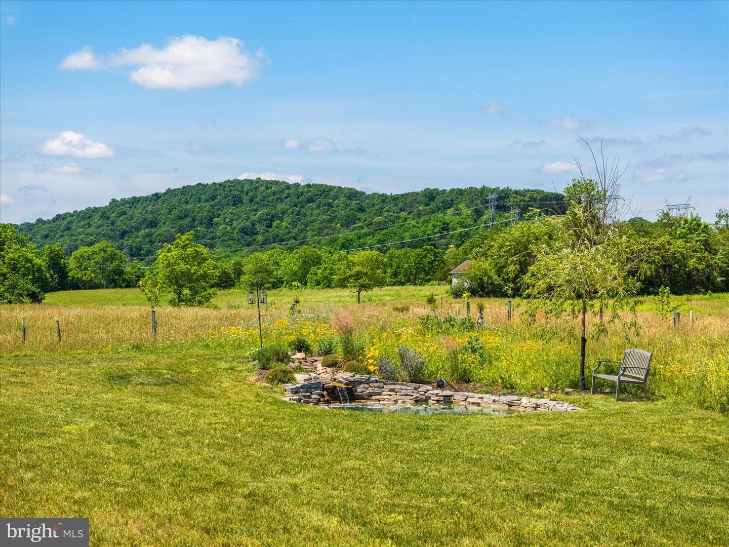 165 Carroll Ridge Ln photo 62