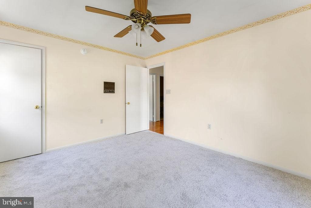 114 Williamson Rd photo 19