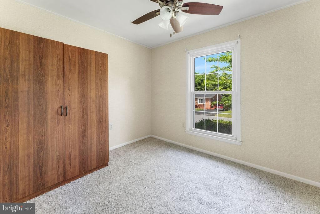 114 Williamson Rd photo 20