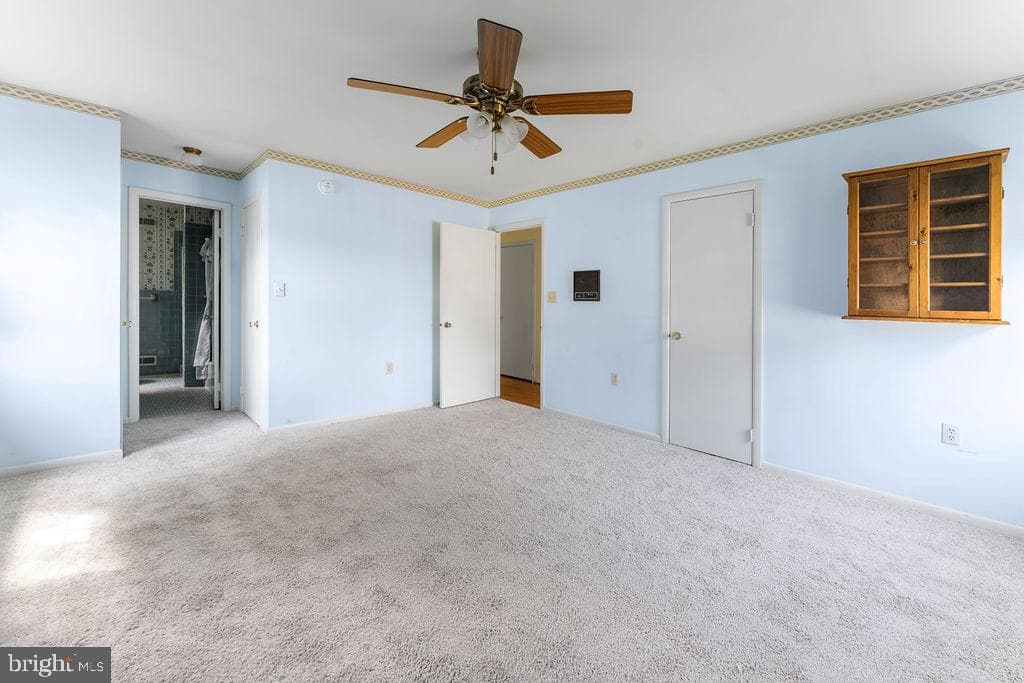 114 Williamson Rd photo 24