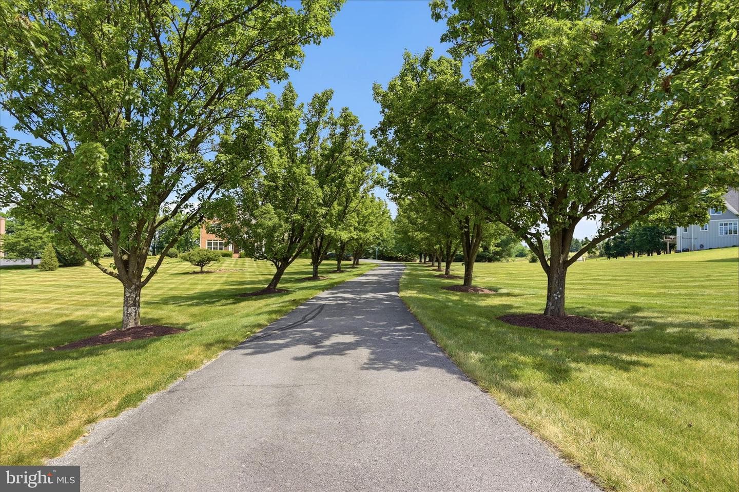 144 Widener Drive photo 65