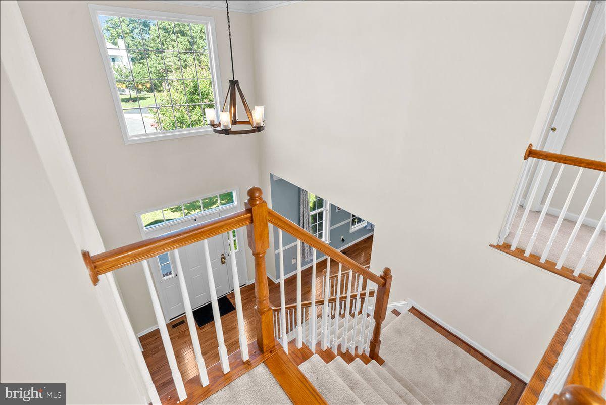 108 Norfolk Court photo 30