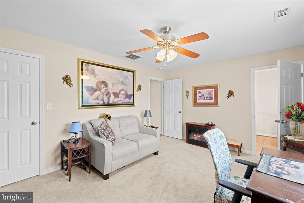256 Skylar Lanes Way photo 39