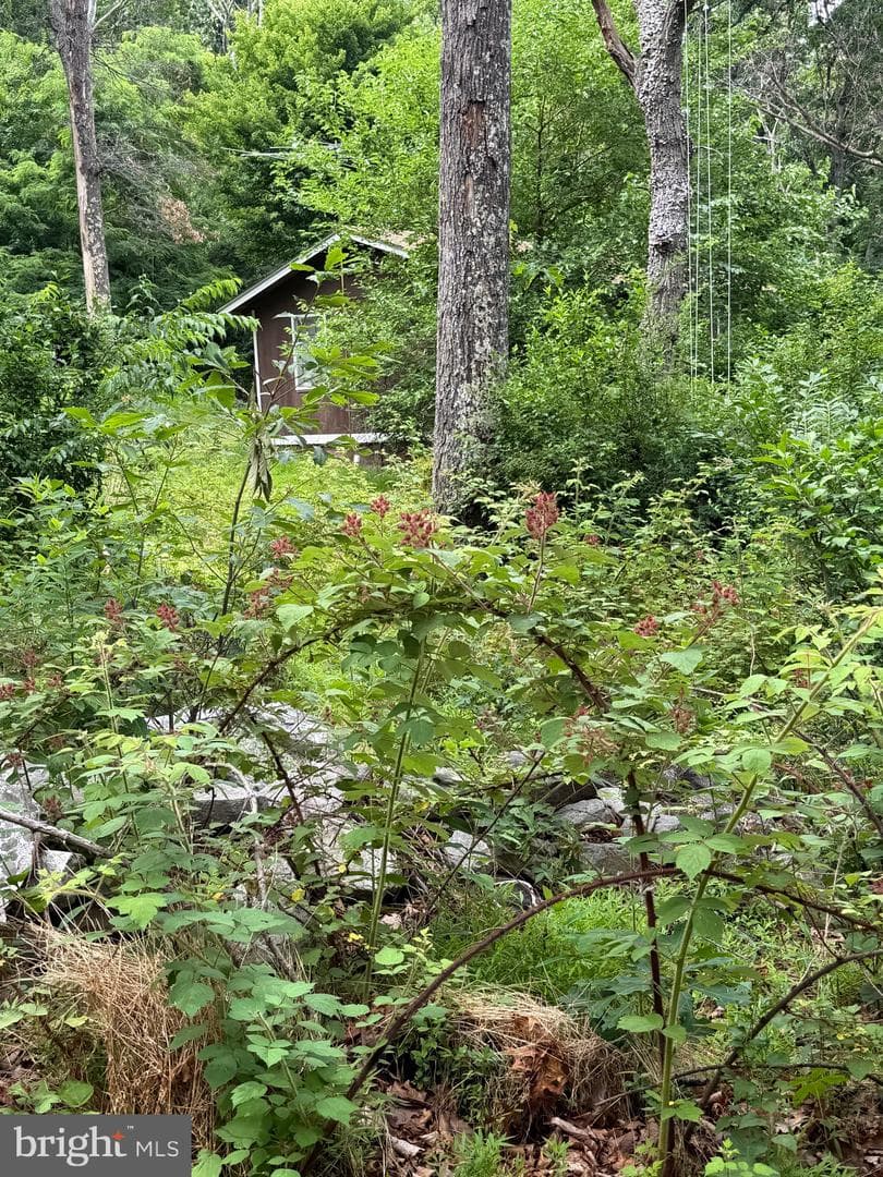 616 Opossum Trail photo 15