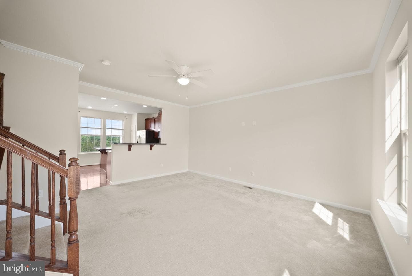 241 Schramm Loop photo 19