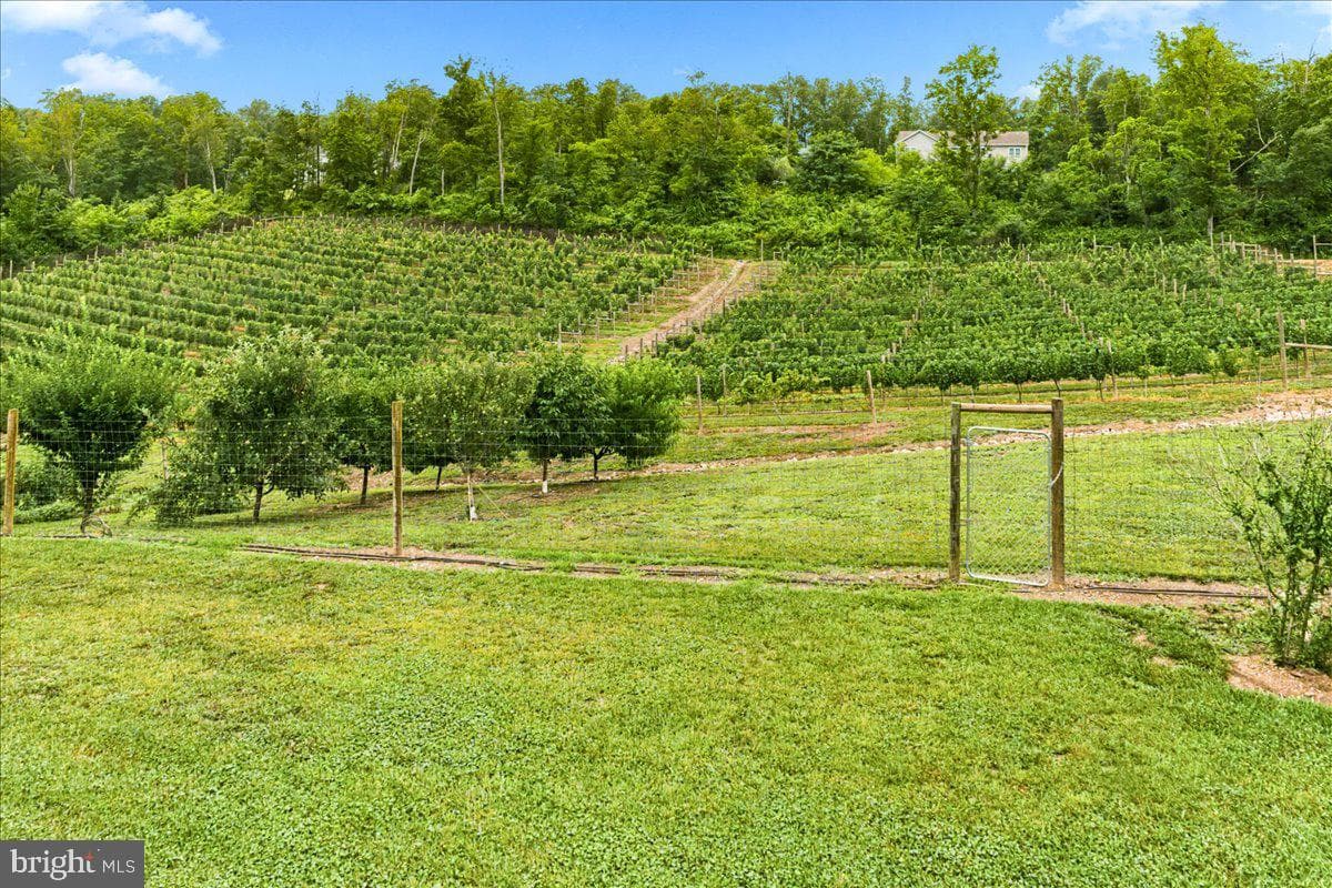 1309 Redland Road photo 77