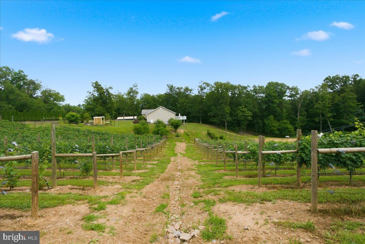 1309 Redland Road photo 78