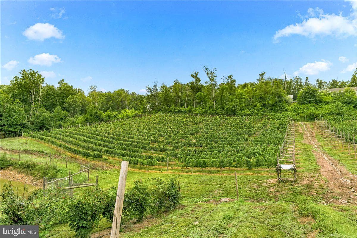1309 Redland Road photo 82