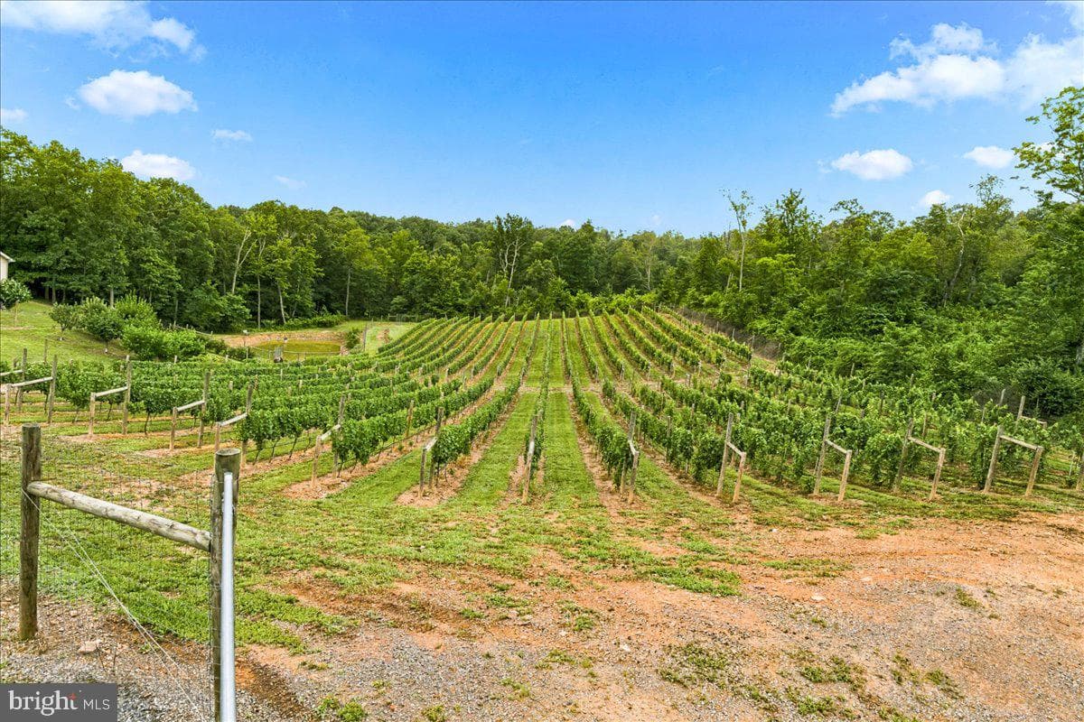 1309 Redland Road photo 87