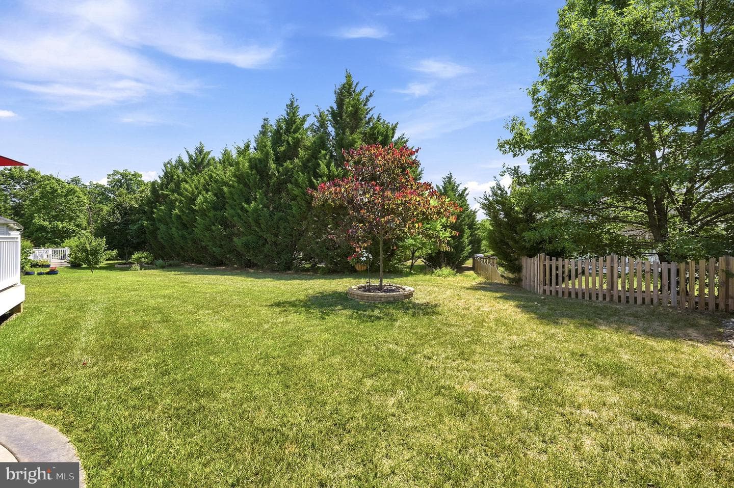 206 Ivy Hill Court photo 5