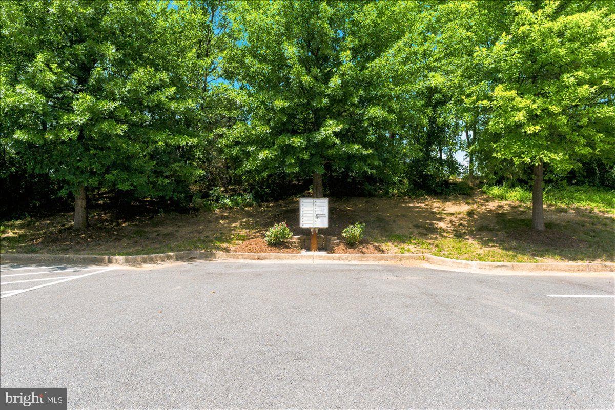 127 Brookland Terrace #8 photo 49