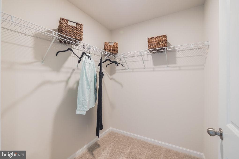 101 Seminole Drive photo 18