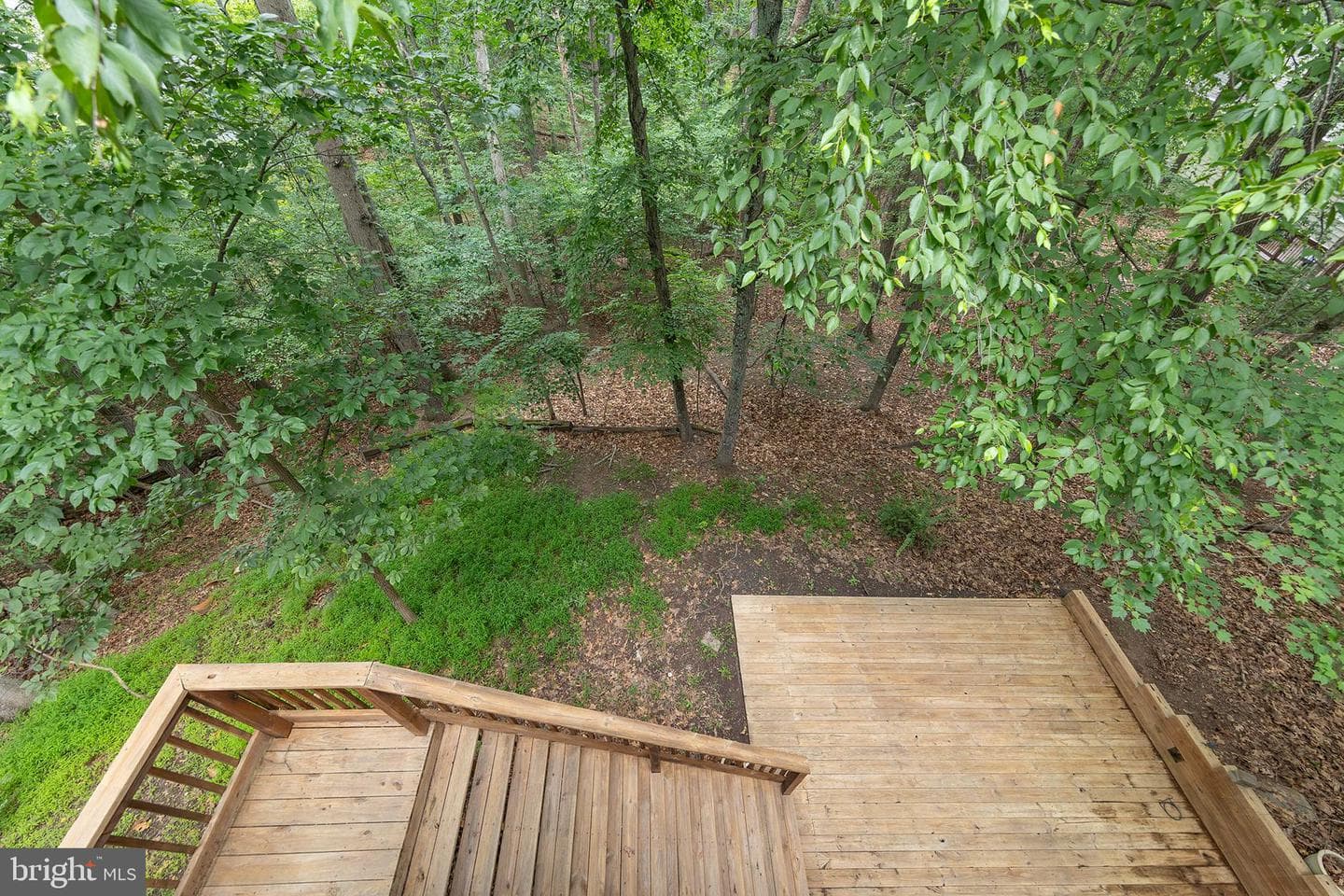 1317 Lakeview Drive photo 50
