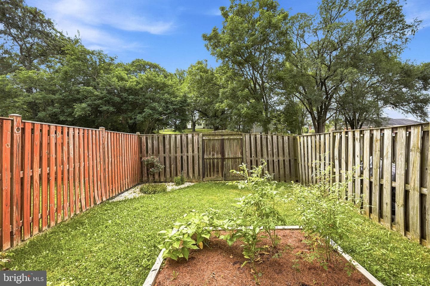 140 Pittman Court photo 46