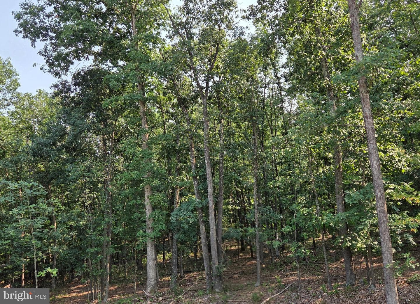 150 Four Seasons Drive E photo 16