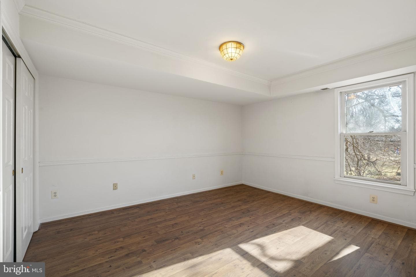 1537 Cedar Ave photo 24