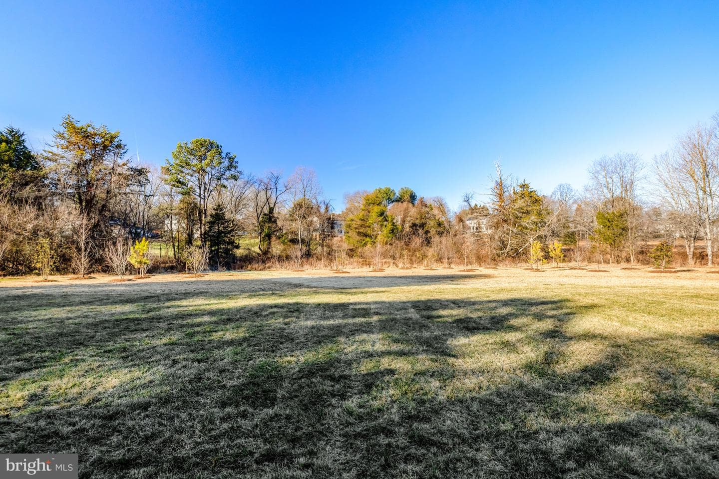 1002 Springvale Road photo 66