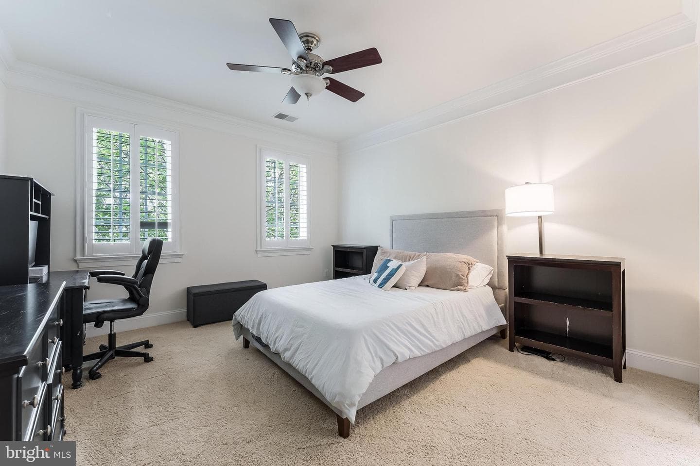 6506 Blue Wing Drive photo 43
