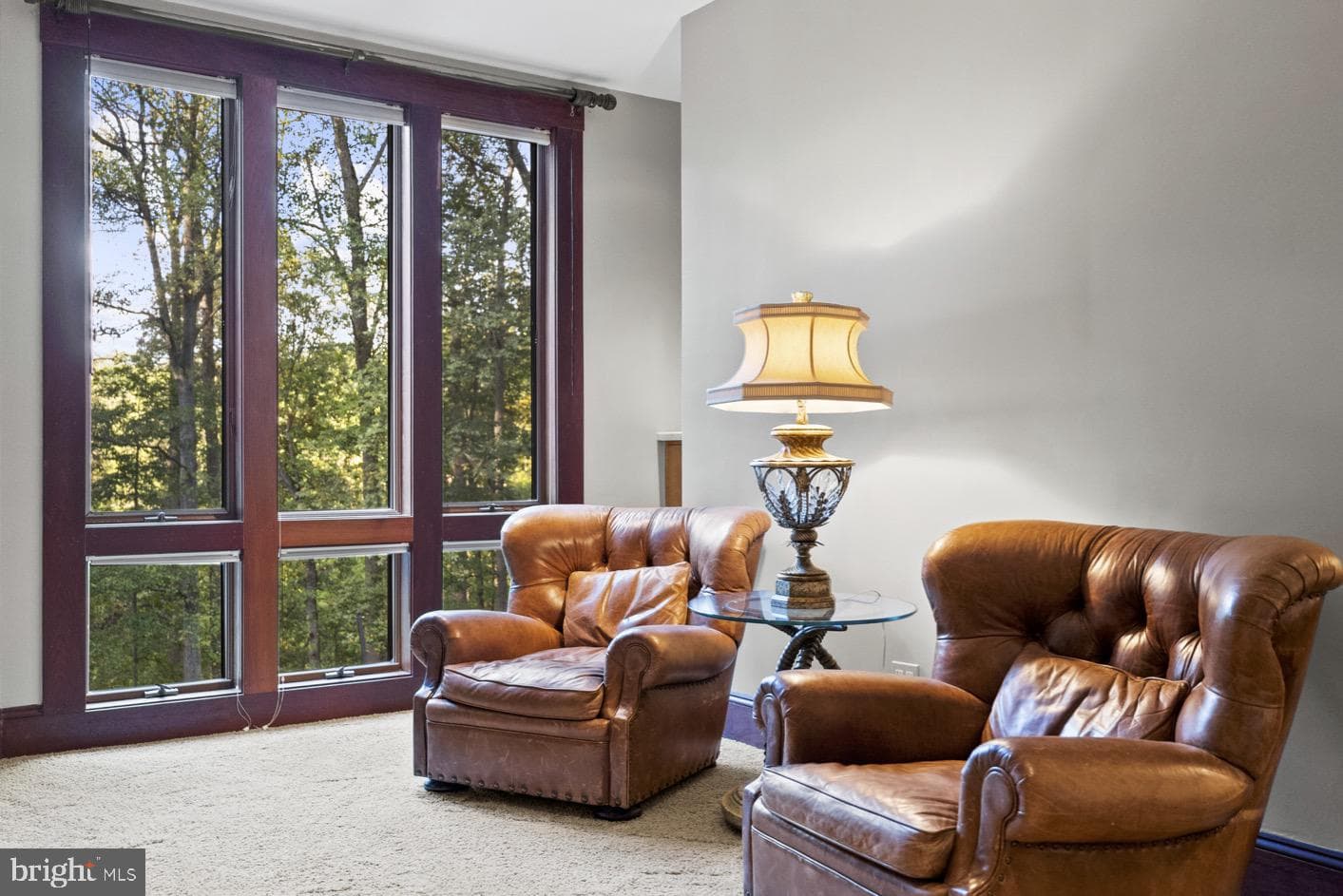 536 Springvale Road photo 45