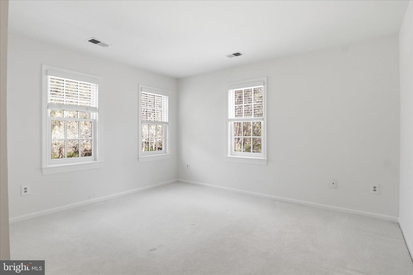10101 Mill Wheel Lane photo 29