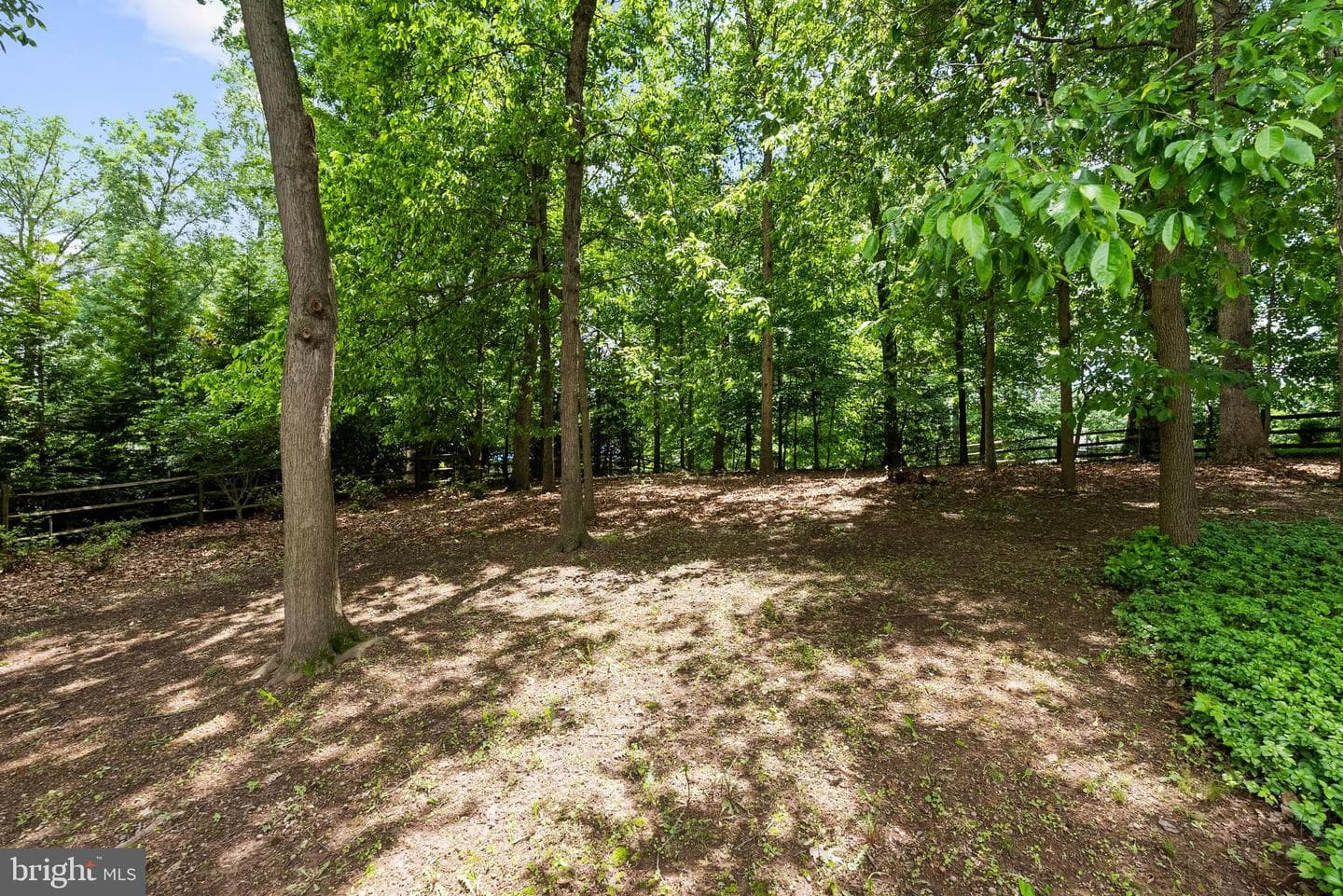 6707 Lupine Lane photo 30