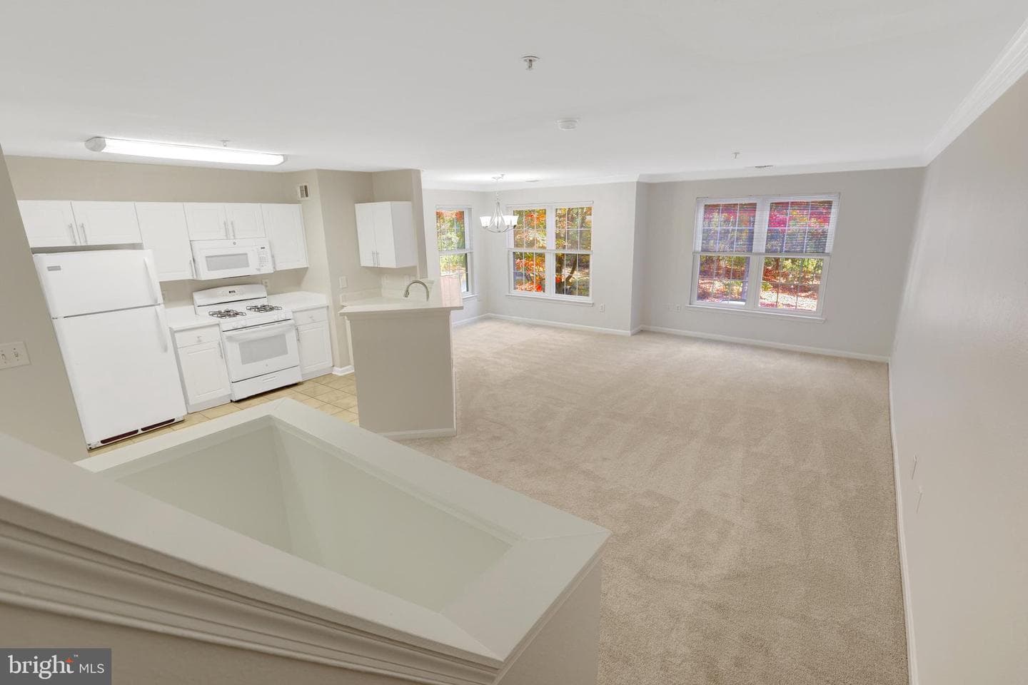 12737 Fair Briar Lane photo 22