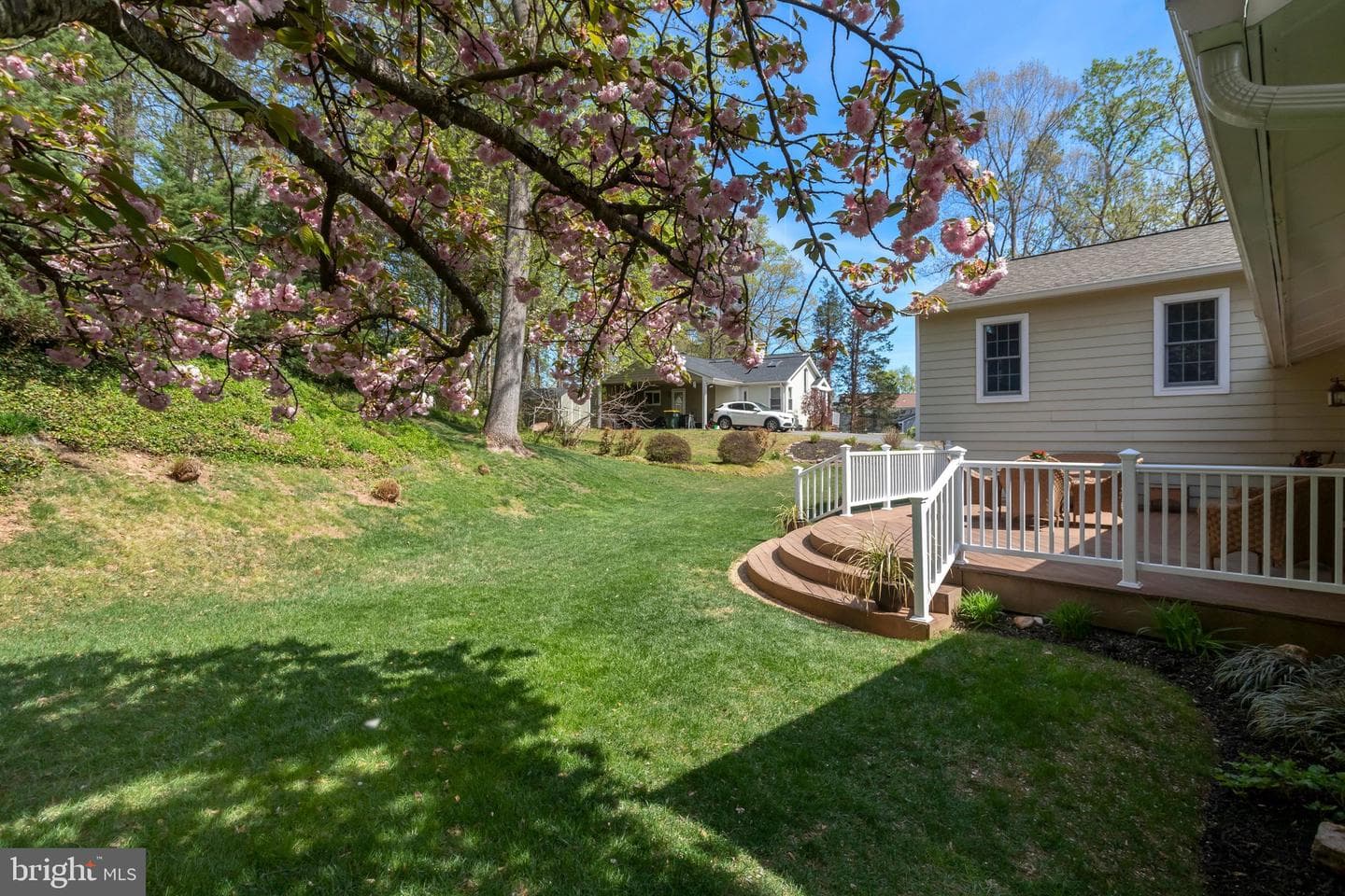9516 Vandola Court photo 49