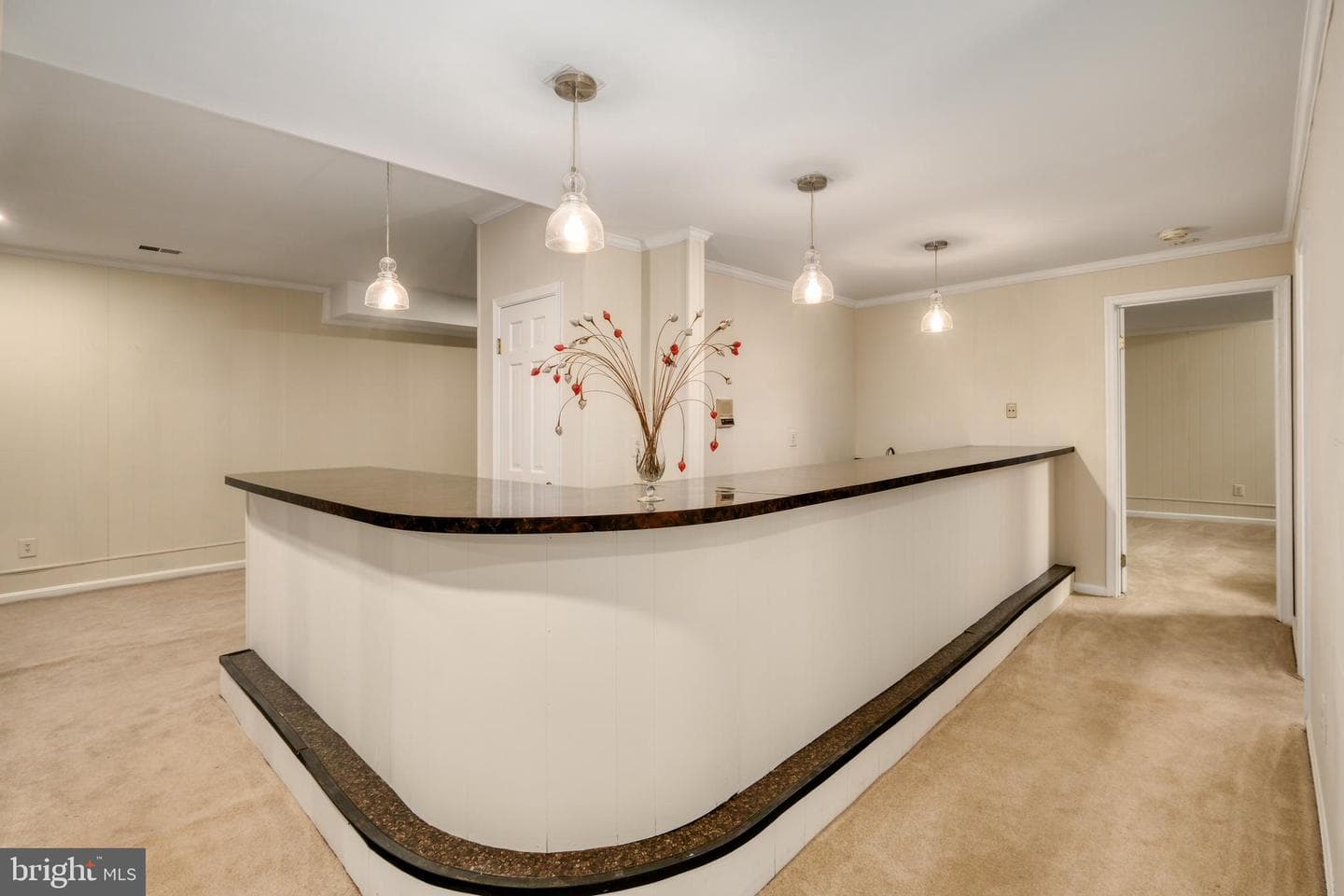 10525 Summerwind Lane photo 69