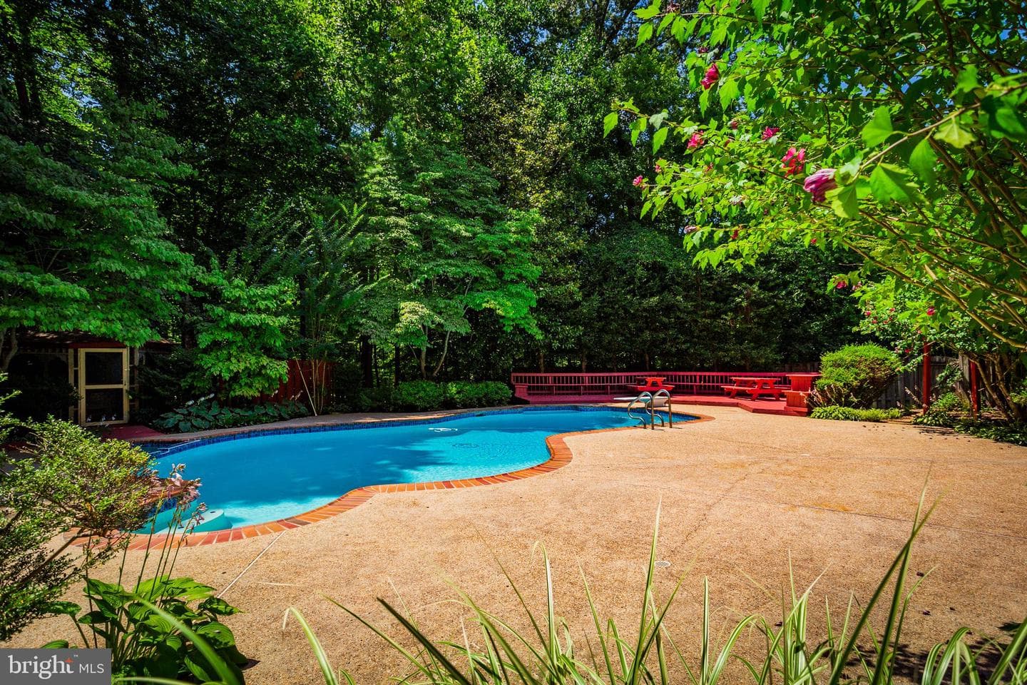 10525 Summerwind Lane photo 75