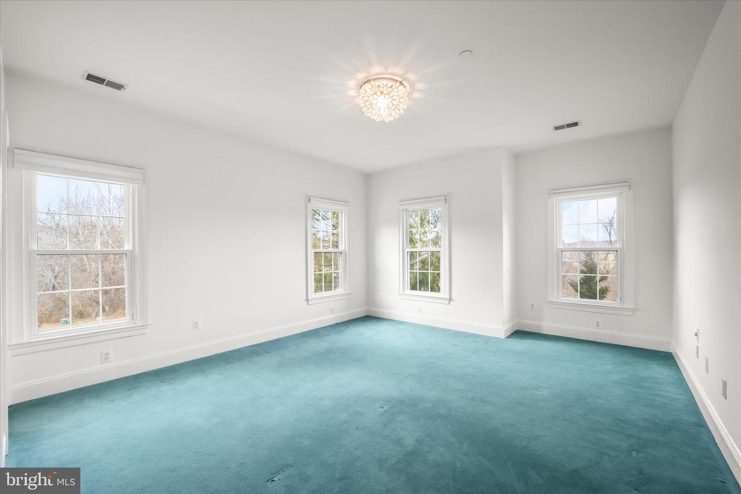 13215 Twin Lakes Drive photo 64