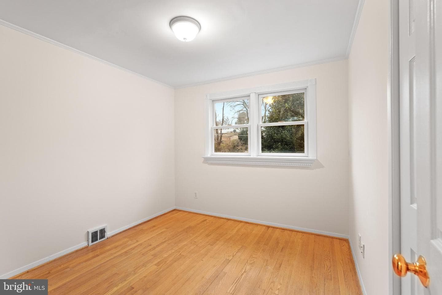 7423 Exmore Street photo 20