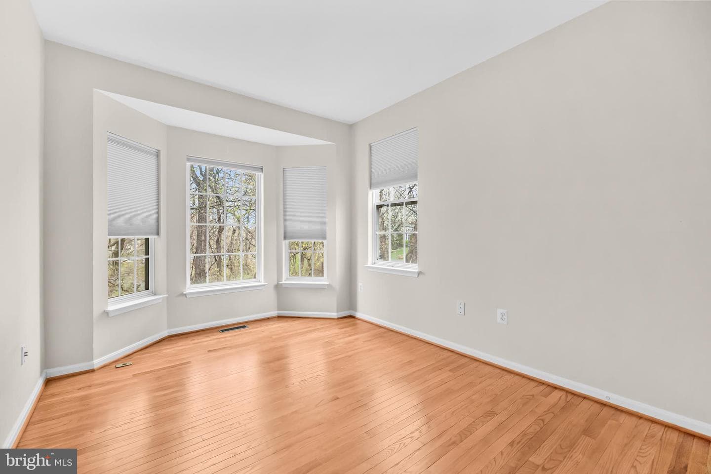 12494 Cliff Edge Drive photo 17