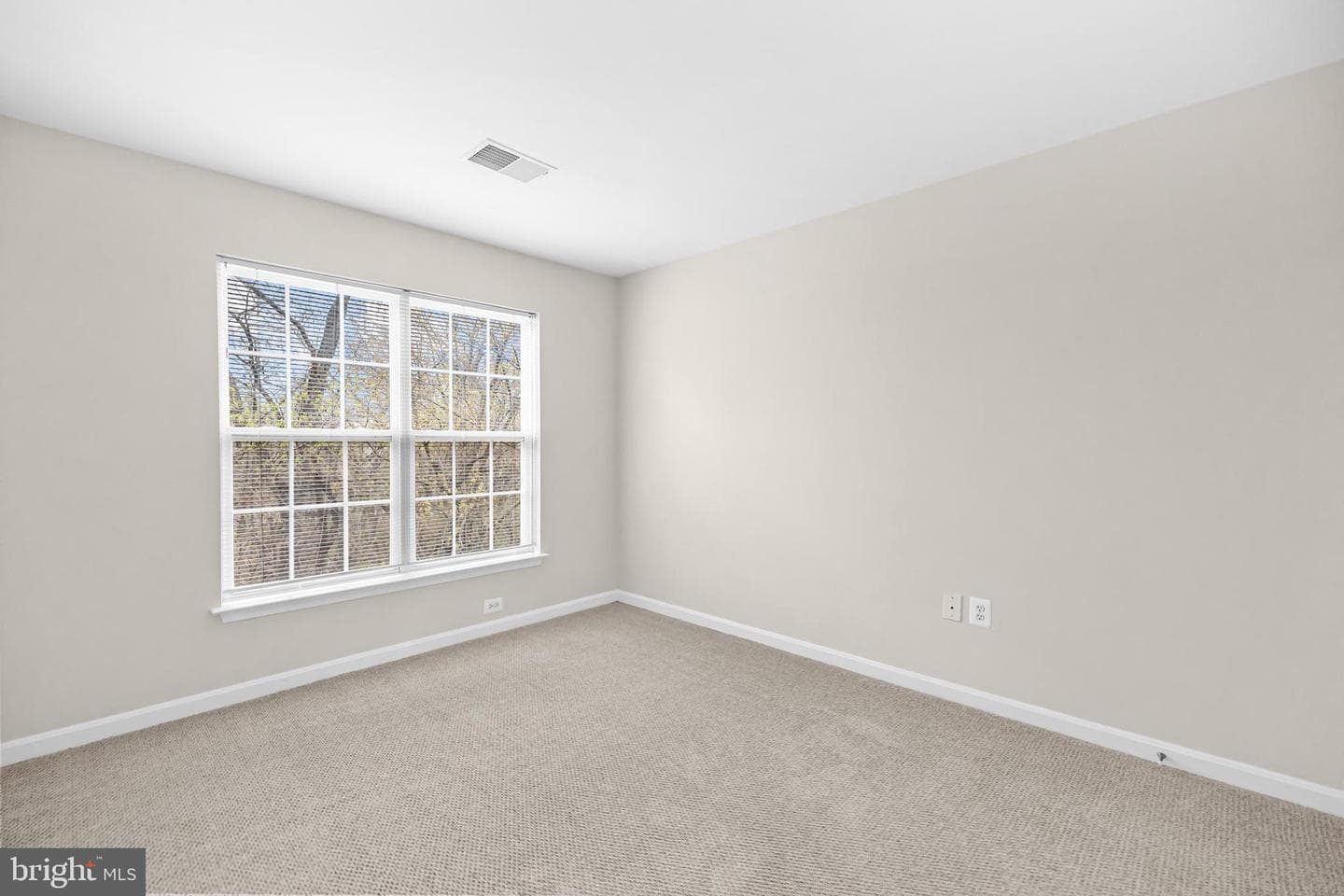 12494 Cliff Edge Drive photo 38