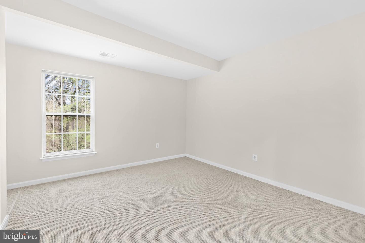 12494 Cliff Edge Drive photo 42