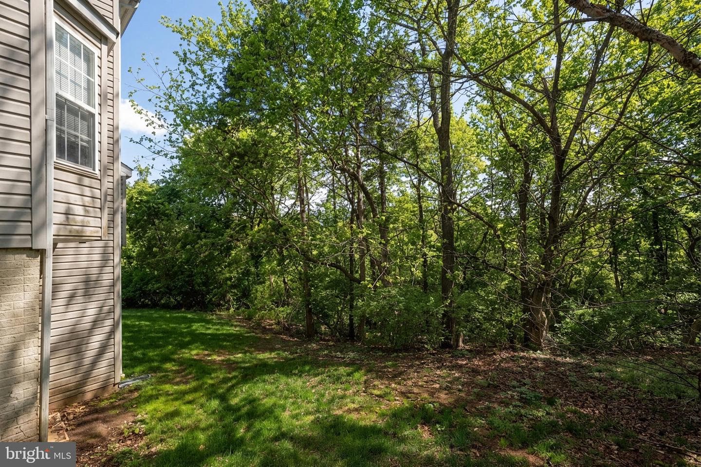 12494 Cliff Edge Drive photo 45
