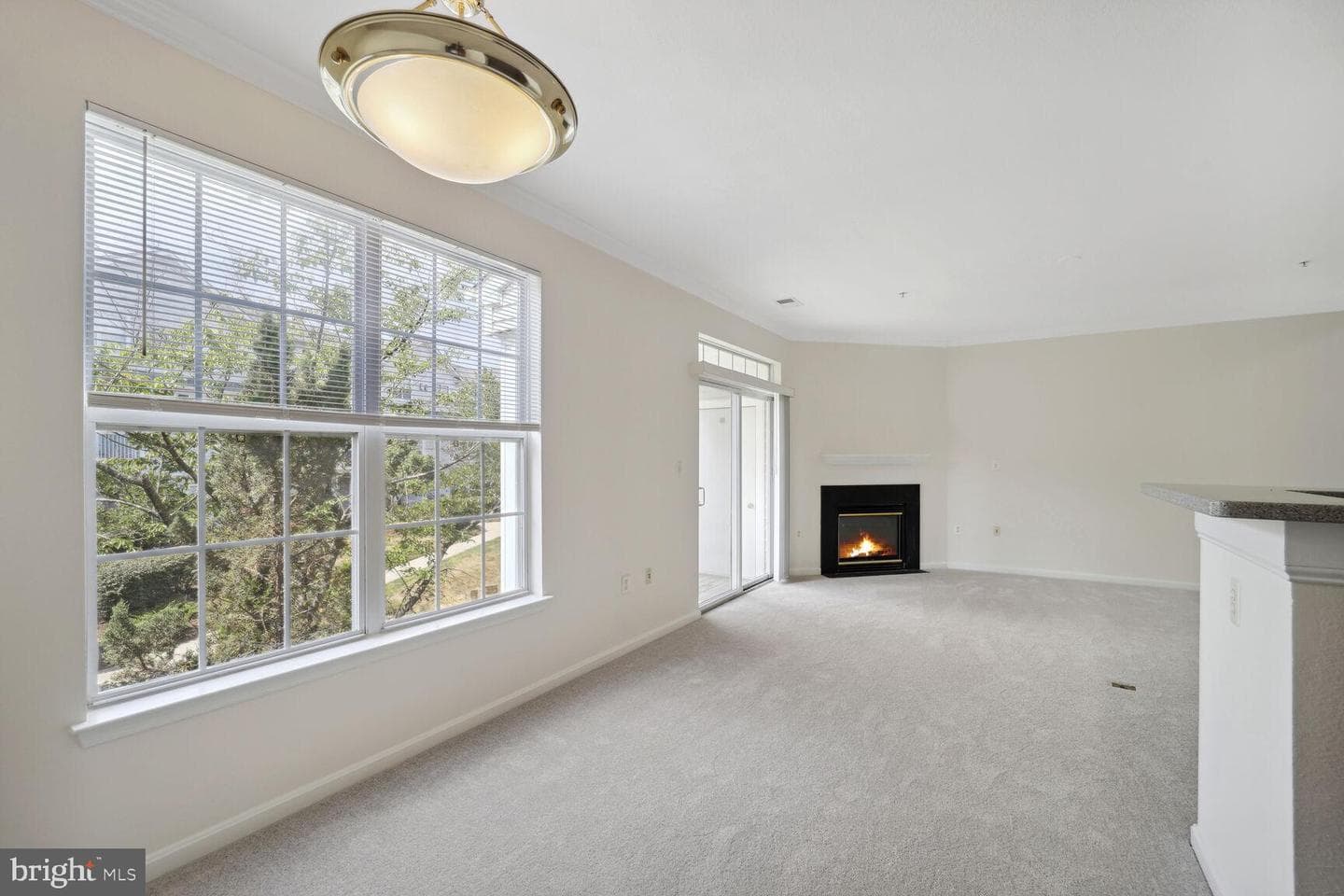 13040 Cabin Creek Road #13040 photo 5