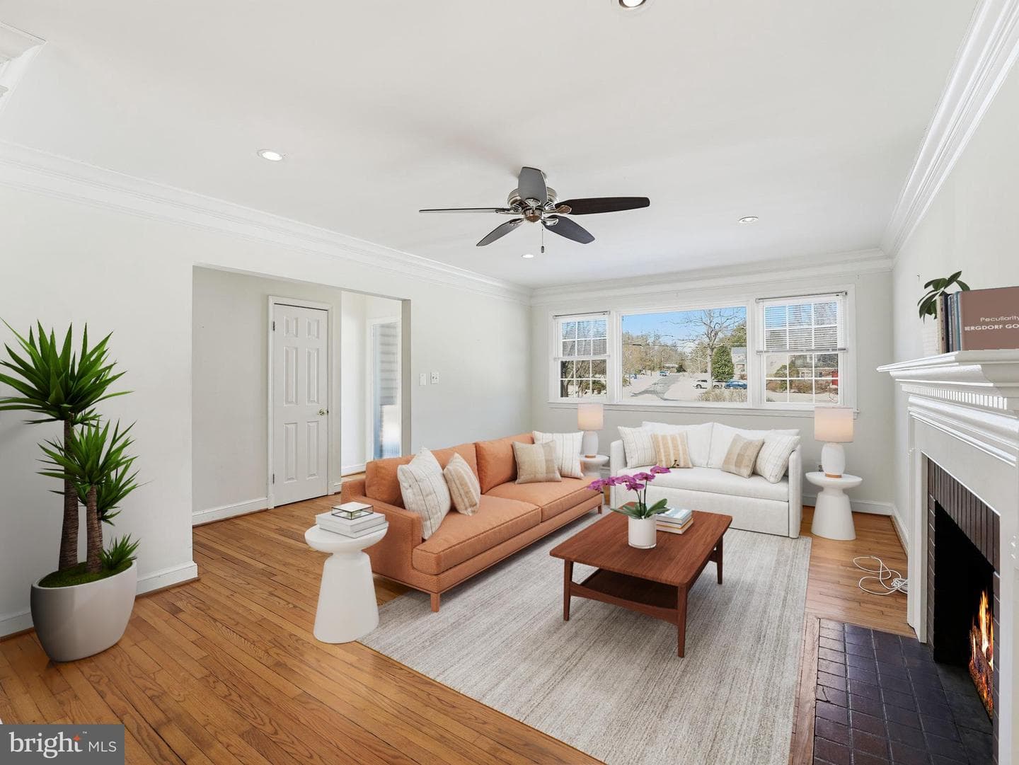 3015 Crane Drive photo 4