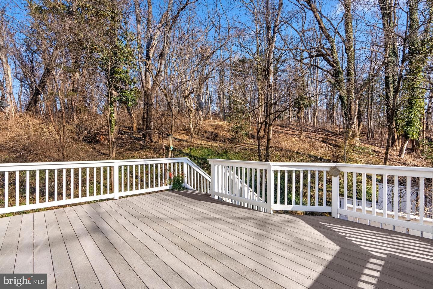 1317 Merrie Ridge Road photo 45