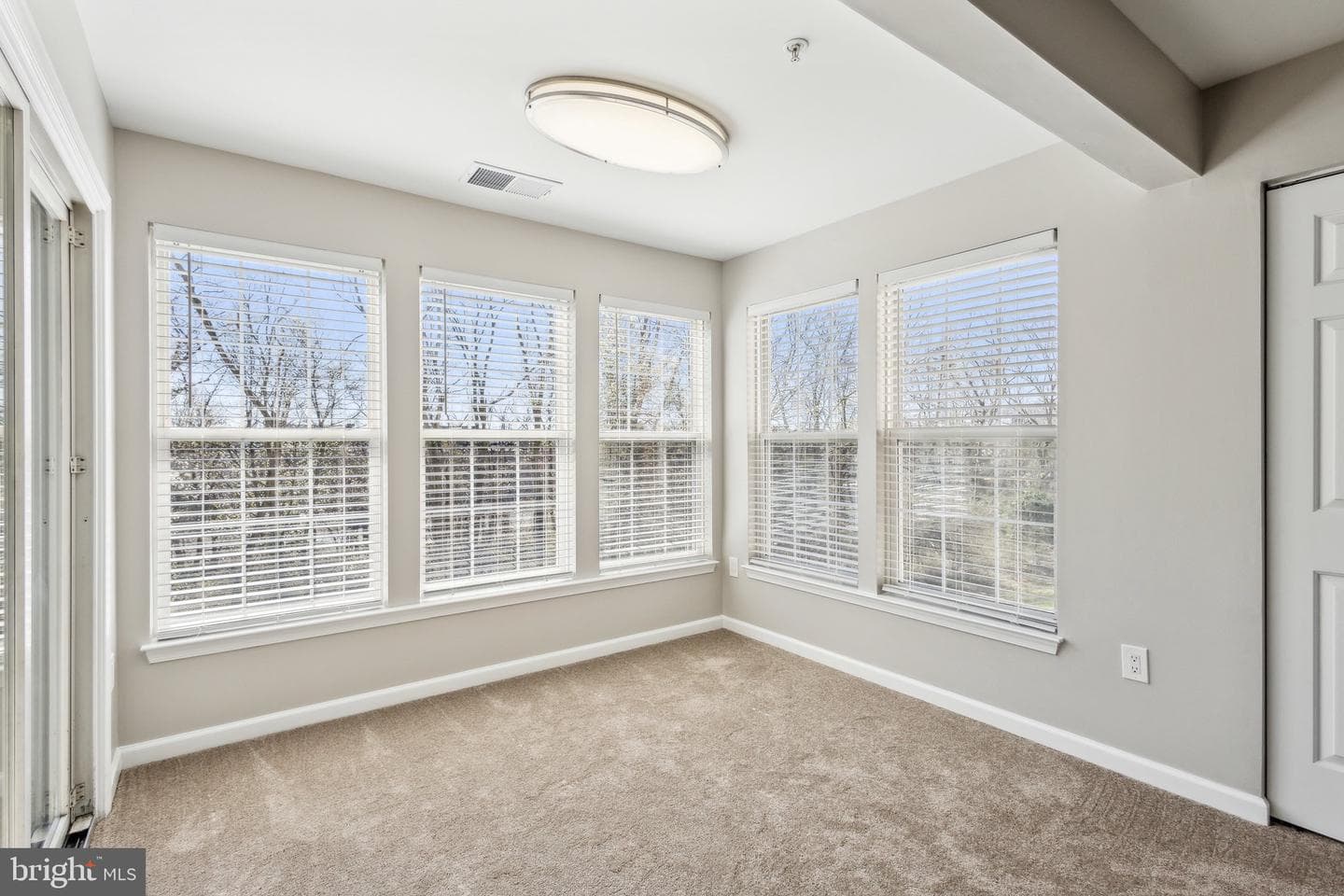 7514 Snowpea Court #g photo 7