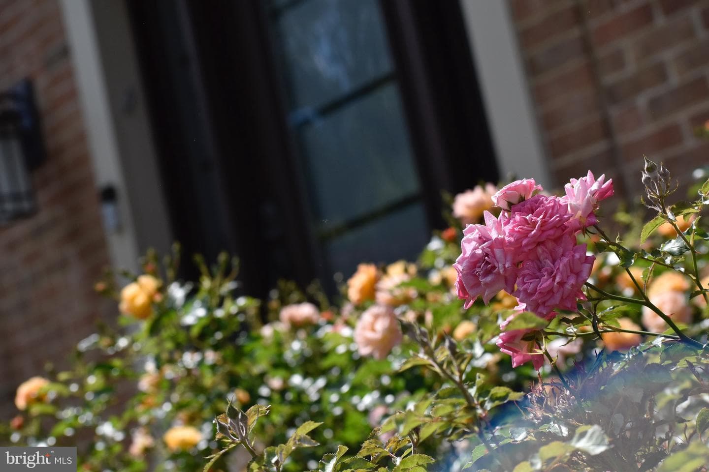 5408 Heatherford Court photo 8
