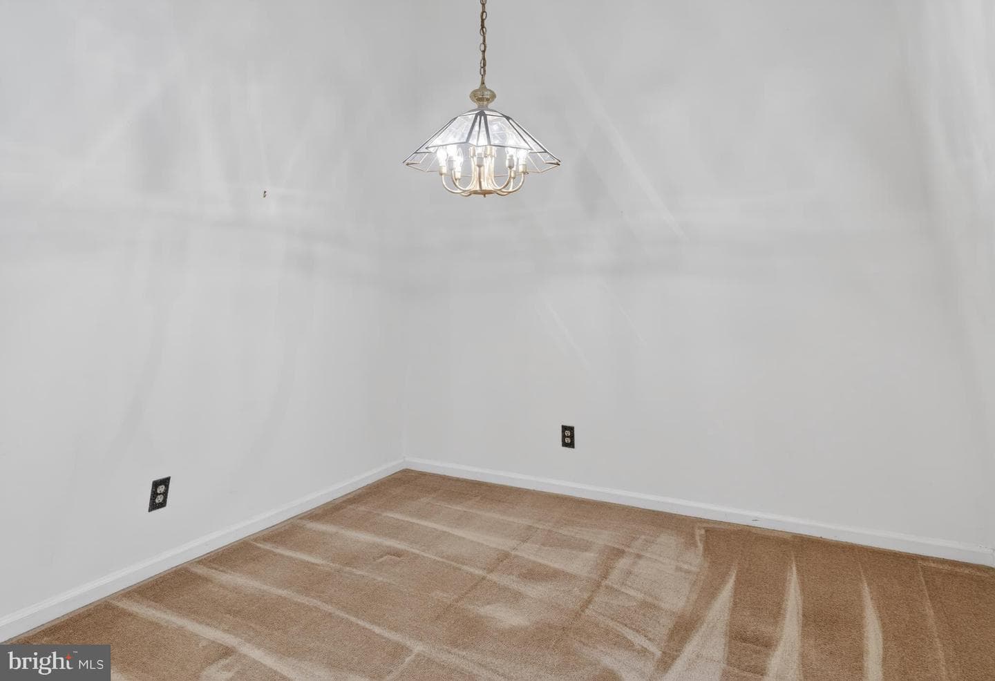 7504 Ashby Lane #l photo 11
