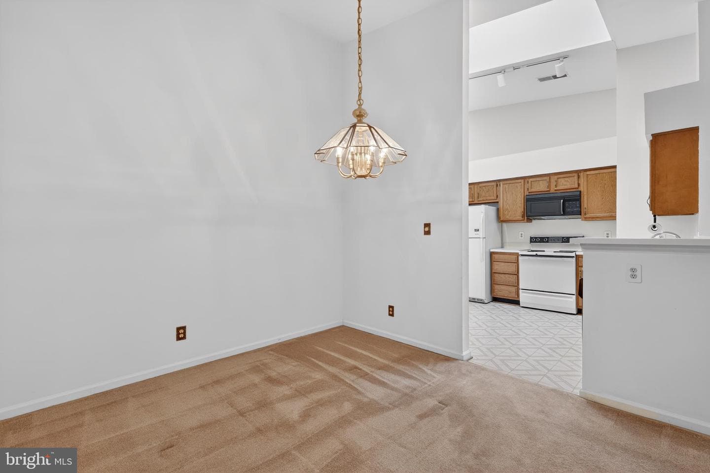 7504 Ashby Lane #l photo 12