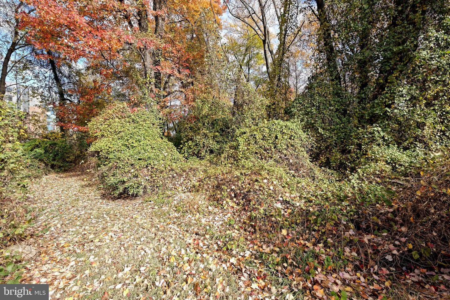 7640 Tremayne #202 photo 24
