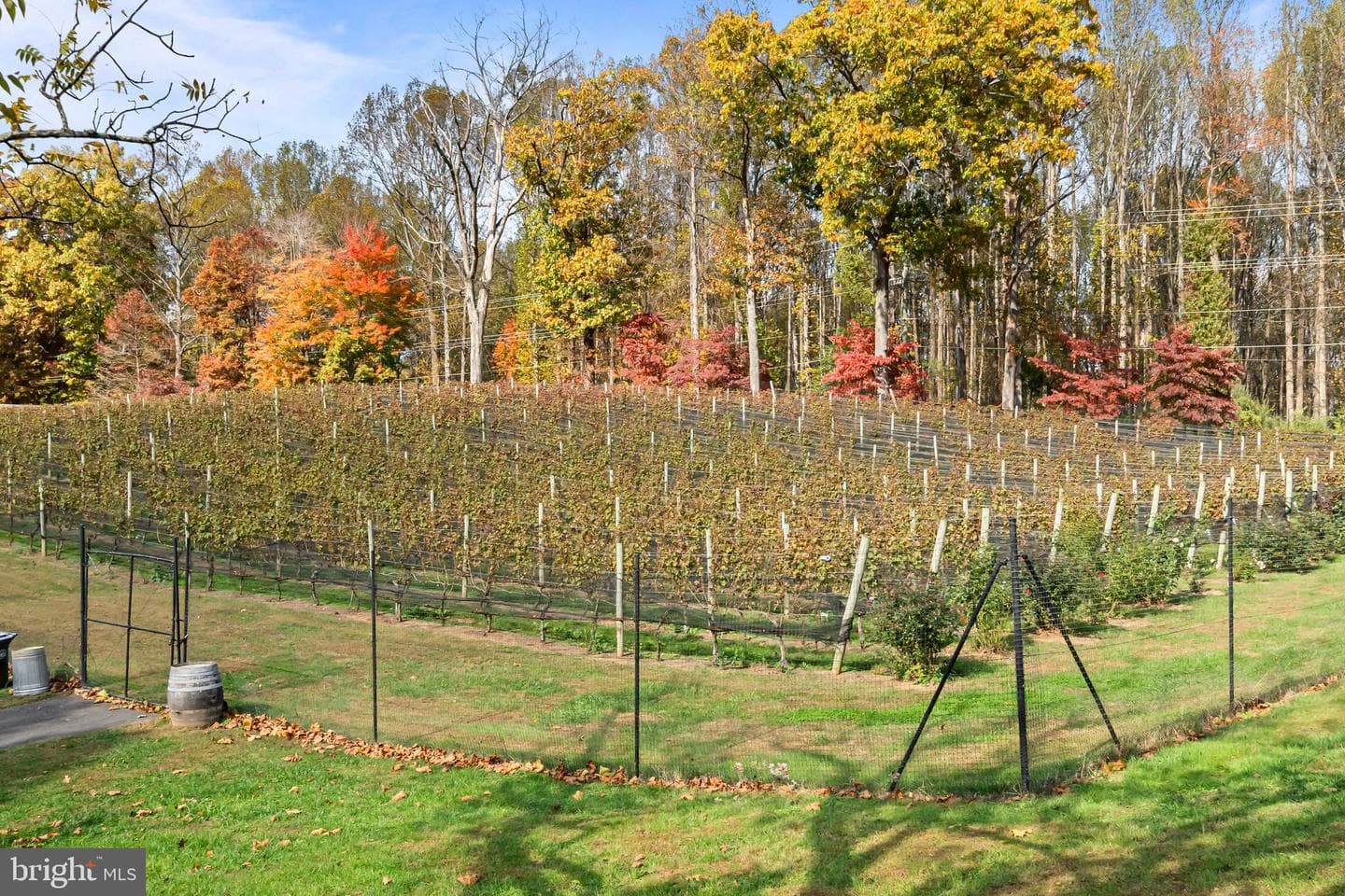 13025 Yates Ford Road photo 64
